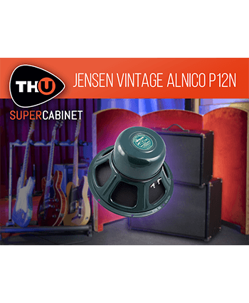 ☆JENSEN P12N アルニコスピーカー : ジナパパ一家の何てことない日常
